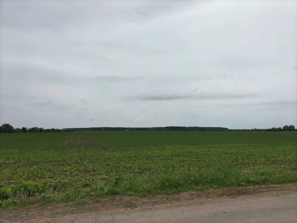 Vand teren 65000 mp Moara Vlasiei la sosea Industrial Depozitare img 6